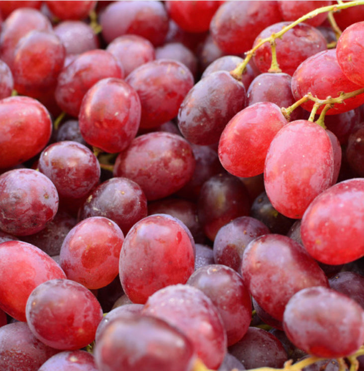 JUST GRAPE