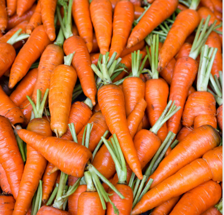 JUST CARROT