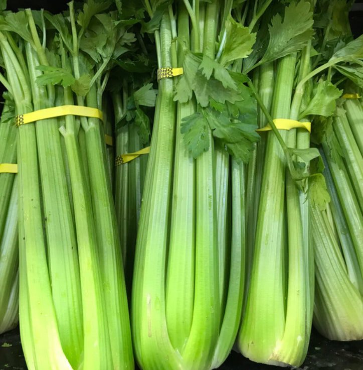 JUST CELERY